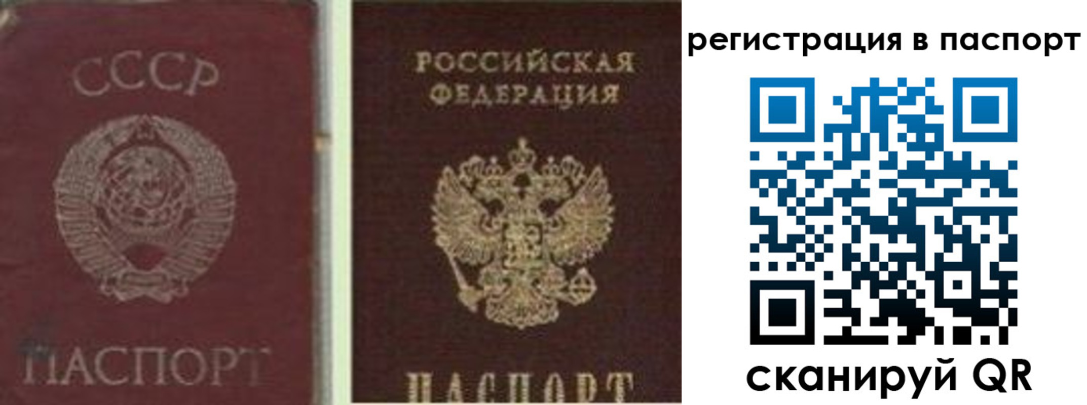 прописка для работы в Шадринске